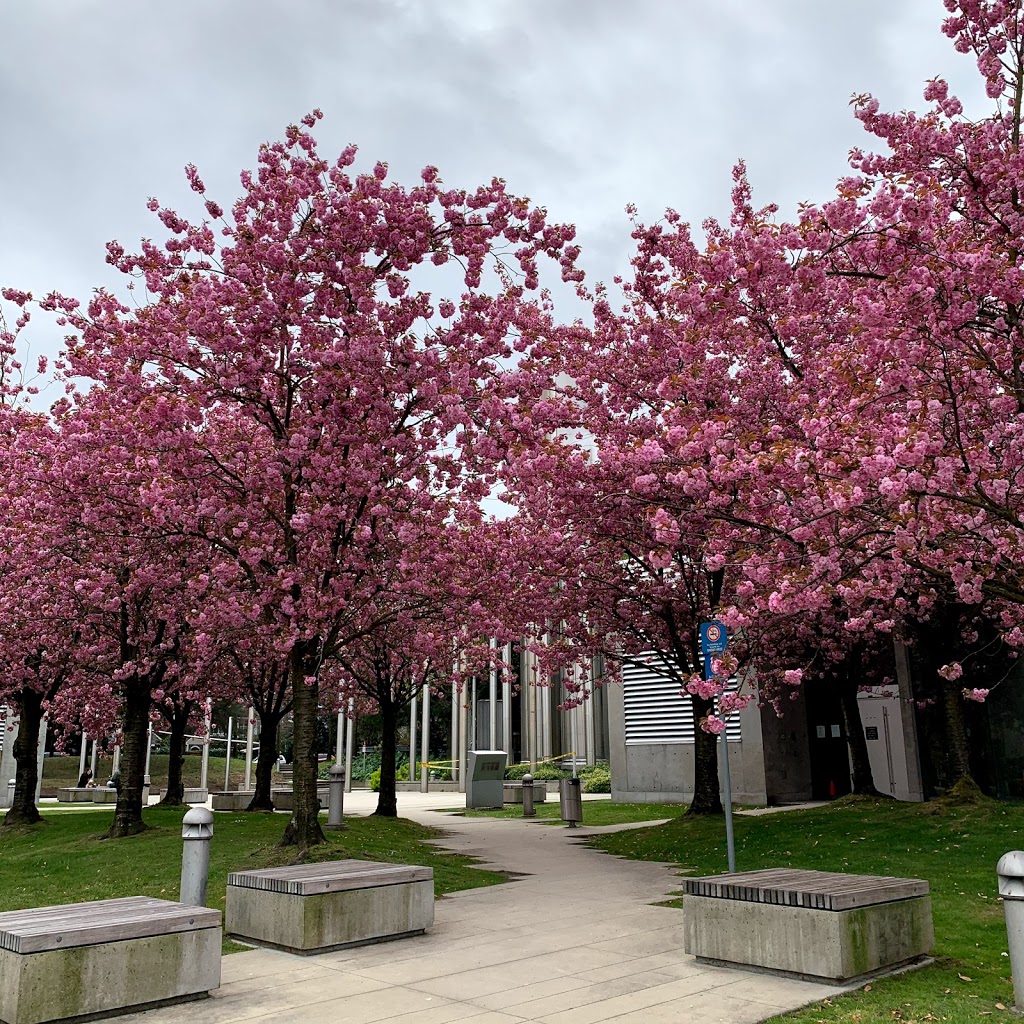VGH Energy Centre Plaza | Fairview, Vancouver, BC V5Z 4S5, Canada | Phone: (604) 875-4111