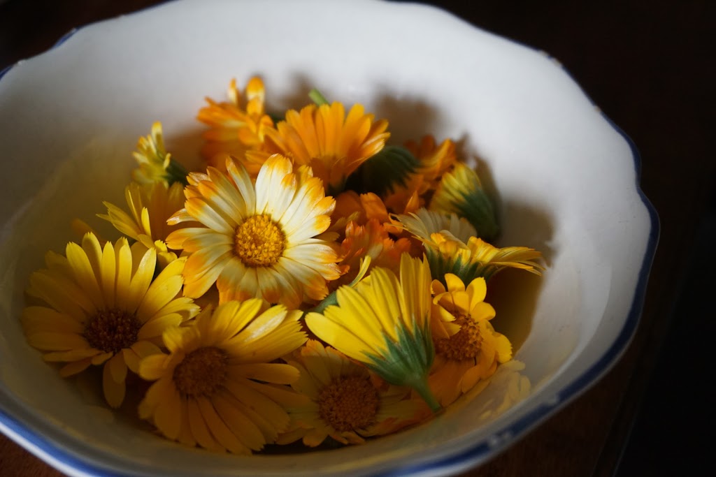 Sarah Feiner Therapies | 18685 Leslie St, Sharon, ON L0G 1V0, Canada | Phone: (416) 726-4310