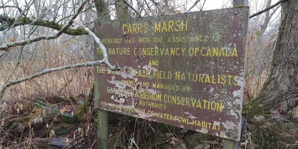 Carrs Marsh Conservation Area | Bob Carr Rd, Port Hope, ON L1A 4L1, Canada | Phone: (905) 797-2721