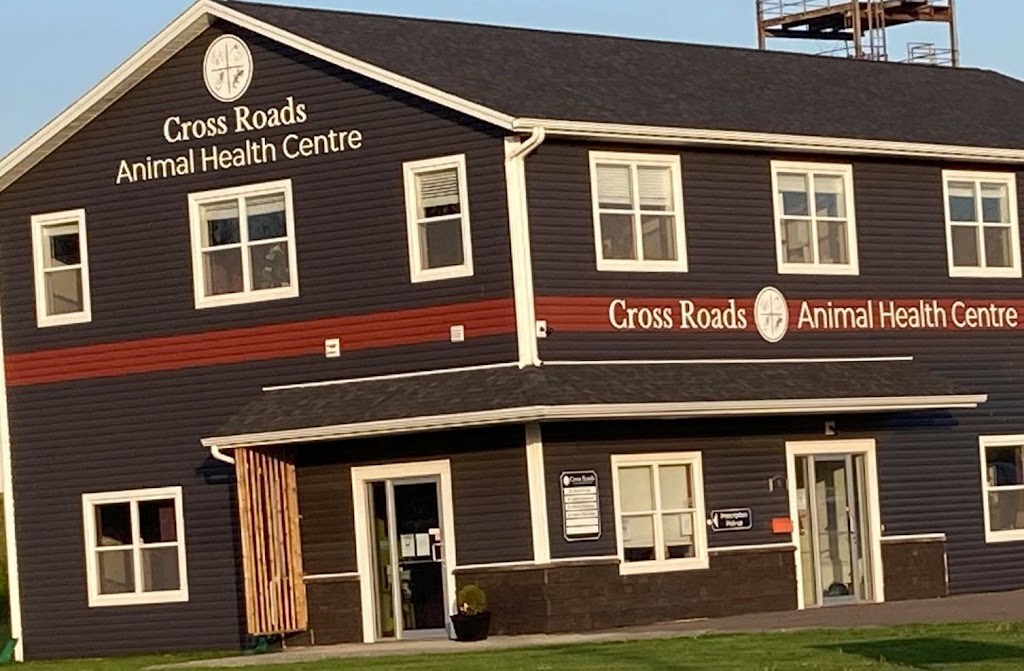 Cross Roads Animal Health Centre | 3 Myrtle St, Stratford, PE C1B 1P4, Canada | Phone: (902) 370-2838