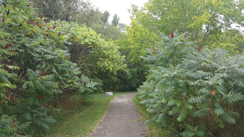 Rexdale Park | 143 Elmhurst Dr, Etobicoke, ON M9W 4A3, Canada | Phone: (416) 338-4386