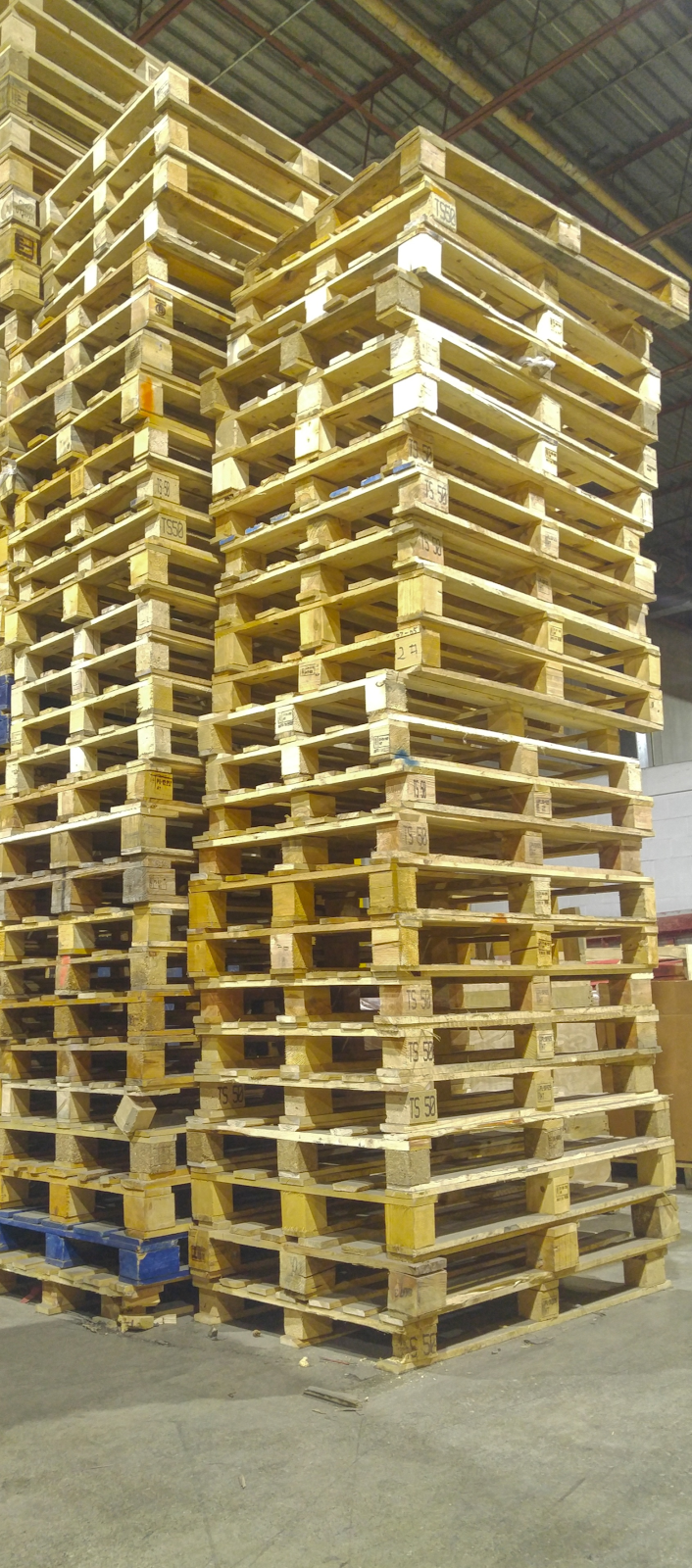 Newpall Pallets 6495 Tomken Rd, Mississauga, ON L5T 2X7, Canada