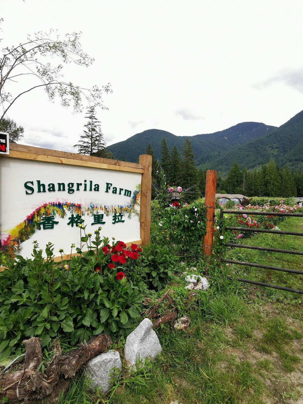 Shangrila Farm | 13842 Spratt Rd, Fraser Valley F, BC V2V 4J1, Canada | Phone: (604) 998-7843