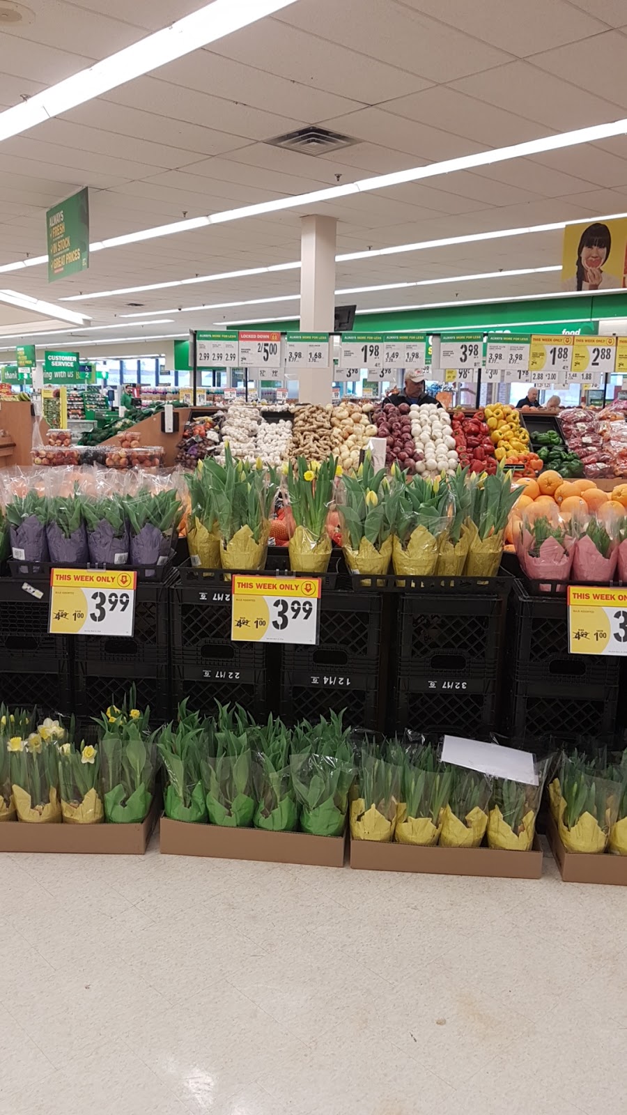 Food Basics | 2500 Barton St E, Hamilton, ON L8E 4A2, Canada | Phone: (905) 560-1828