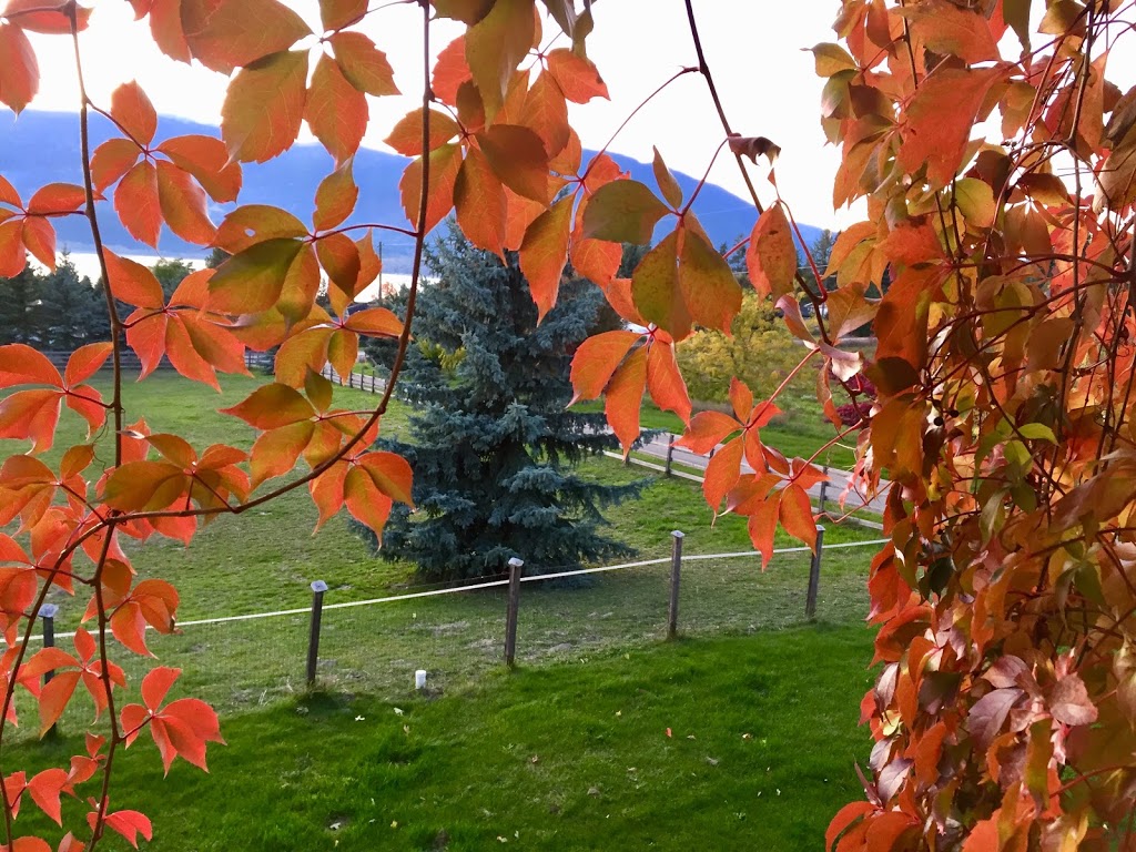 Swiss Lodge B&B | 2190 30 St NE, Salmon Arm, BC V1E 3G9, Canada | Phone: (250) 833-6191