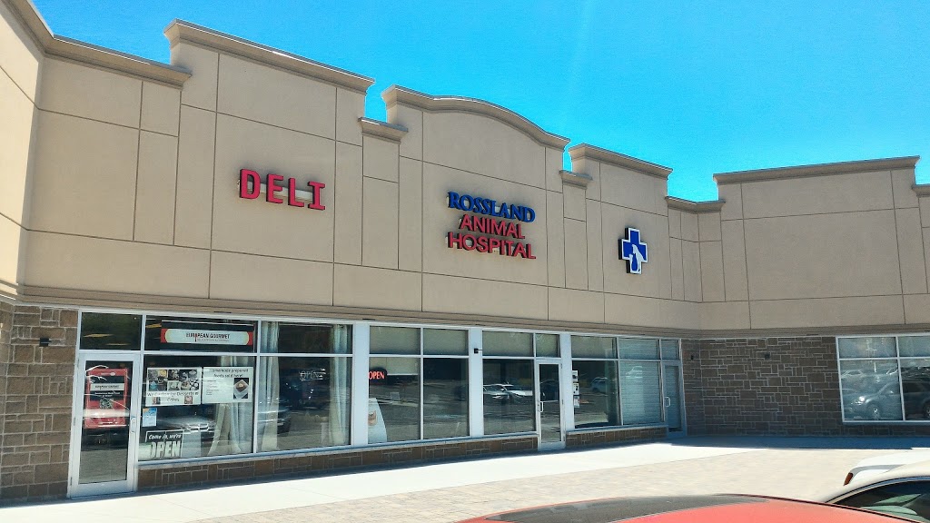 Rossland Animal Hospital | 575 Thornton Rd N, Oshawa, ON L1J 8L5, Canada | Phone: (905) 240-1119