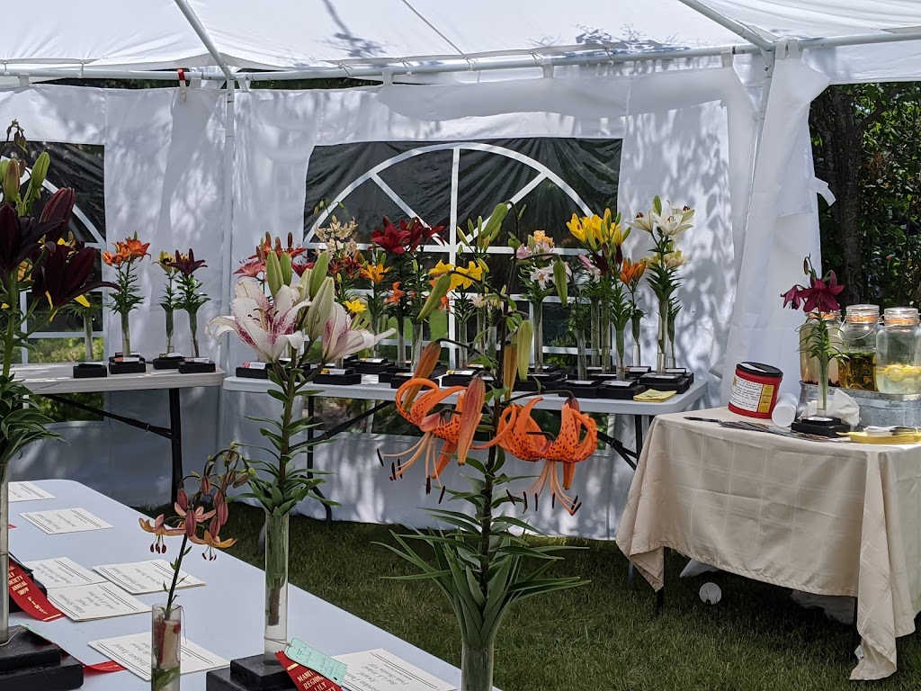 The Lily Nook | 80098 Hwy 5 South, Neepawa, MB R0J 1H0, Canada | Phone: (204) 476-3225