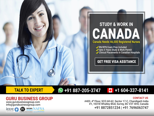 Guru Business Group | 10318 Whalley Blvd #1, Surrey, BC V3T 4H4, Canada | Phone: (604) 377-8141