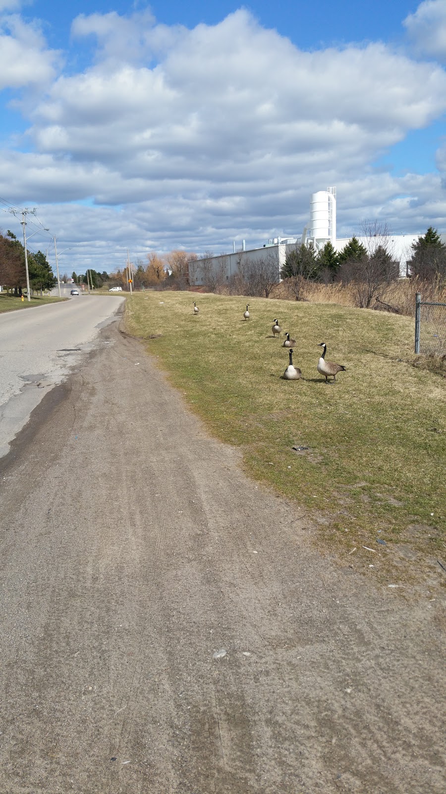 Strasburg Creek North Branch | Kitchener, ON N2R 1J4, Canada