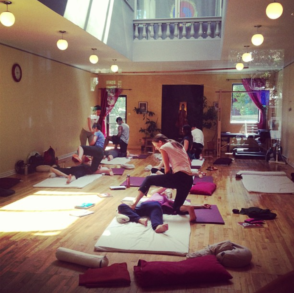 Lotus Palm Montreal | 5244 Rue Saint-Urbain, Montréal, QC H2T 2W9, Canada | Phone: (514) 270-5713
