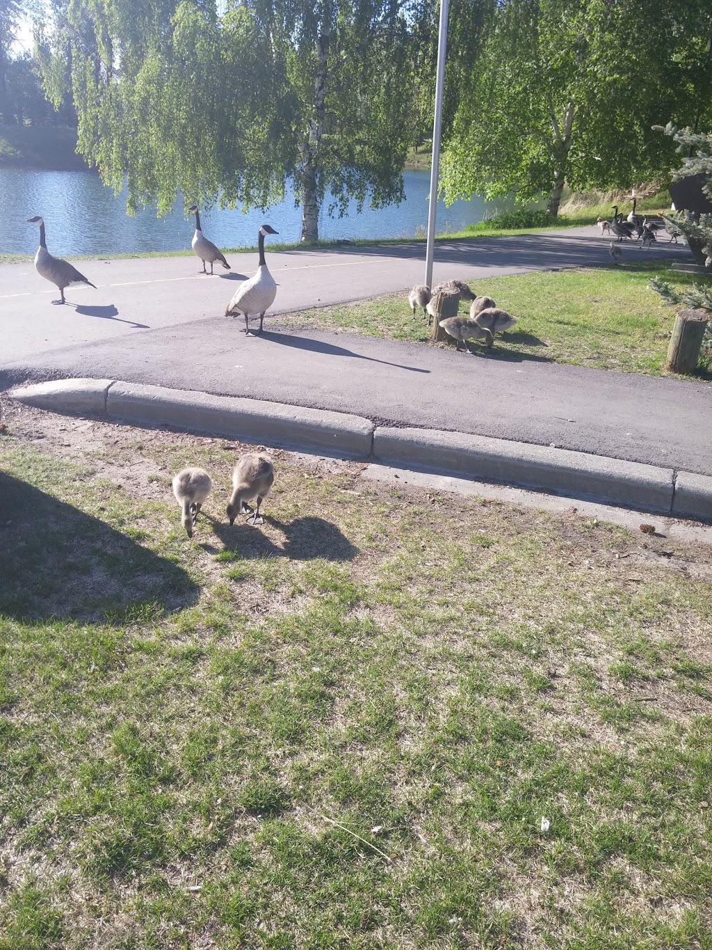 Carburn Park Vehicle Parking | Riverbend, Calgary, AB T2C 3N4, Canada