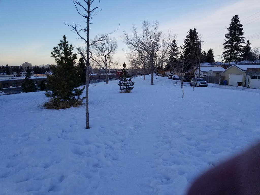 Fairview Off Leash Dog Area | 7532-7800 Flint Rd SE, Calgary, AB T2H 1G3, Canada | Phone: (403) 268-5861