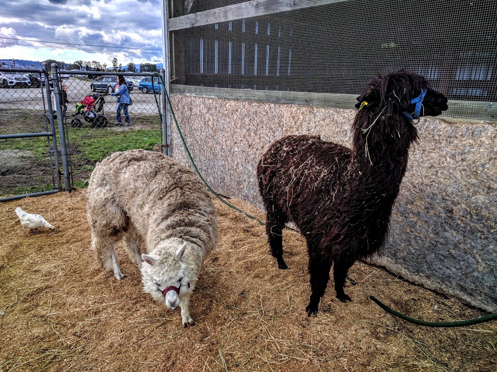 Hopcott Farms Manure and Hay Sales | 18211 Old Dewdney Trunk Rd, Pitt Meadows, BC V3Y 1Z1, Canada | Phone: (604) 465-5000