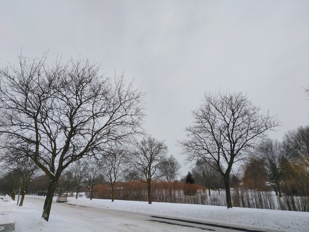 Wilson Park | Kitchener, ON N2C 1Y1, Canada