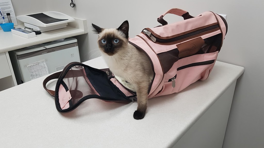 Tsawwassen Animal Hospital Ltd | 1835 56 St, Delta, BC V4L 2B4, Canada | Phone: (604) 943-9385