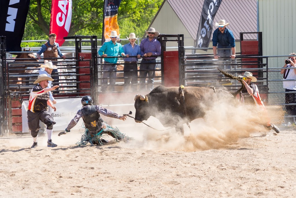 Burford Fairgrounds | Park Ave, Brant, ON N0E, Canada | Phone: (519) 449-5694