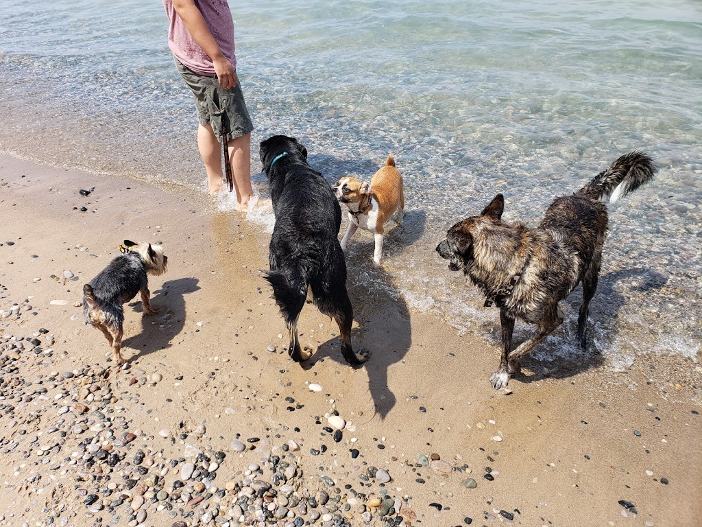 Pinery Provincal Park Dog Beach Area 1 | Lambton Shores, ON N0M 1T0, Canada