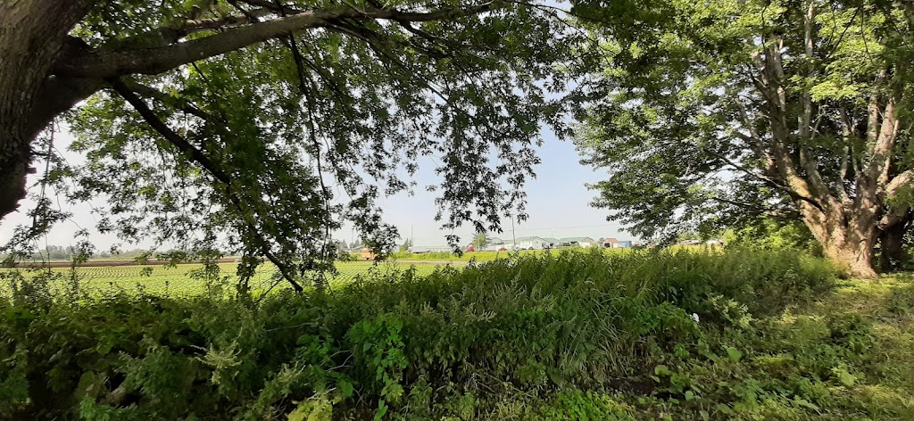 Les Terres Maraîchères Barbeau Inc. | 2700 Rue Principale, Sainte-Clotilde-de-Châteauguay, QC J0L 1W0, Canada | Phone: (450) 454-2458