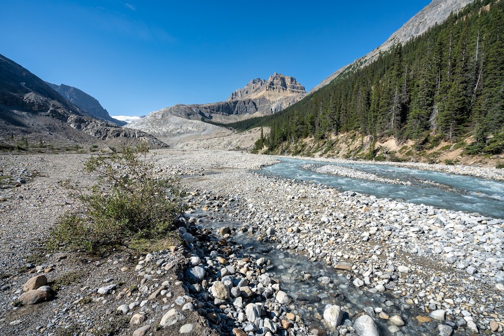 Peyto Lake | Peyto Lake, Improvement District No. 9, AB T0L, Jasper, AB T0L 1E0, Canada | Phone: (403) 522-3833
