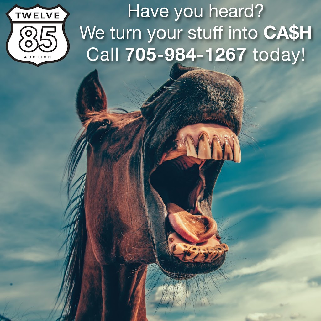 1285 Marketplace | 1285 Bayfield St N, Barrie, ON L9X 0P1, Canada | Phone: (705) 726-6285