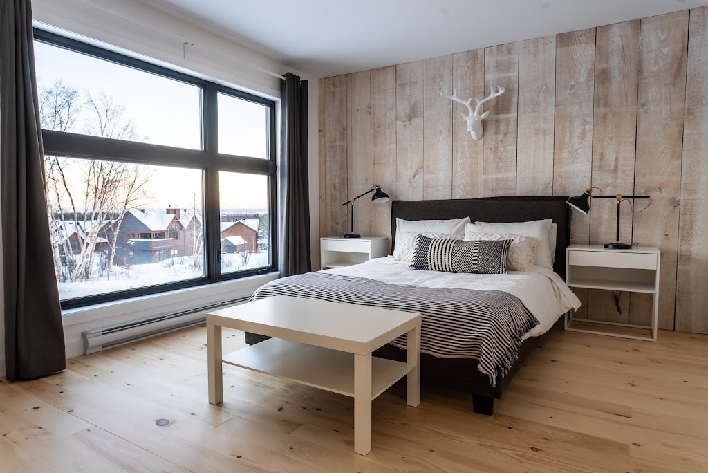 Villa Habitations | 145 Rue de la Tourbe, Saint-Ferréol-les-Neiges, QC G0A 3R0, Canada | Phone: (418) 670-6645