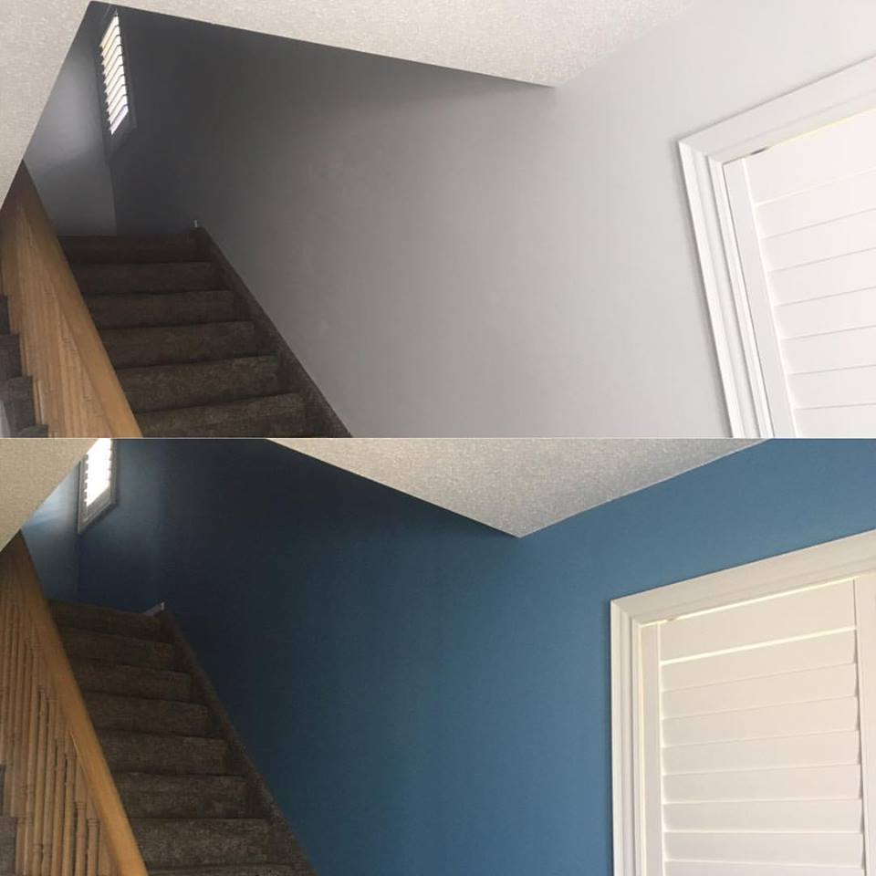Turtle Painting (Interior/Exterior Painting & Staining) | 17 Joseph Crescent, Barrie, ON L4N 0X9, Canada | Phone: (705) 896-1020