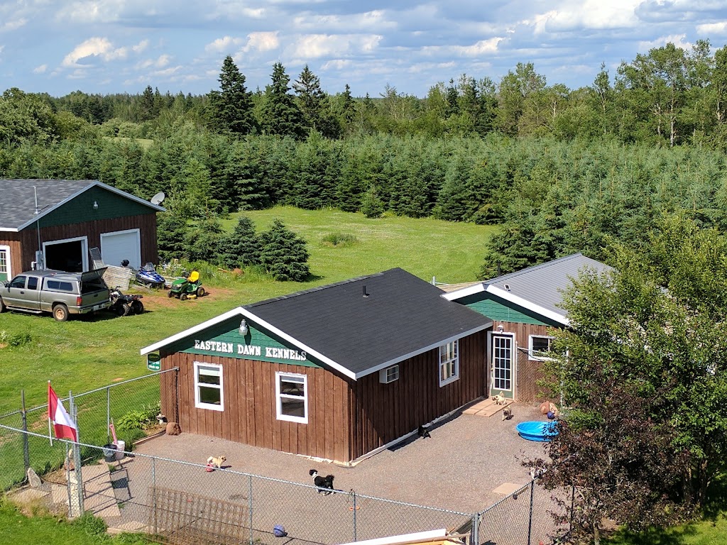 Eastern Dawn Kennels | 4884 Murray Harbour Rd, Vernon Bridge, PE C0A 2E0, Canada | Phone: (902) 651-2309