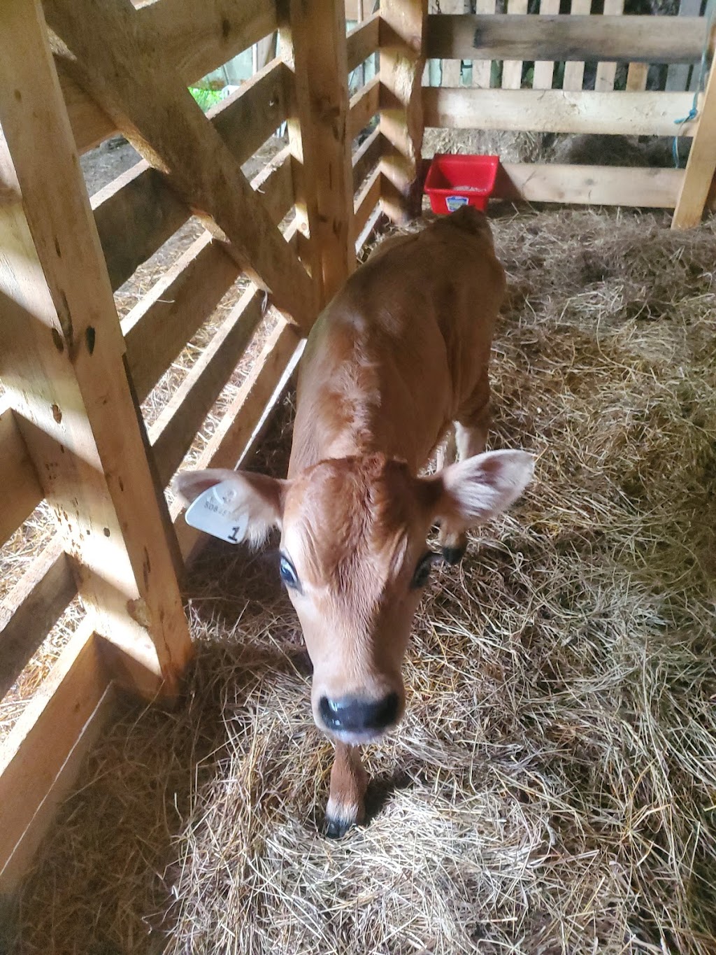 Écoferme ATLAS | 551 Mnt Parent, Thurso, QC J0X 3B0, Canada | Phone: (514) 451-7158