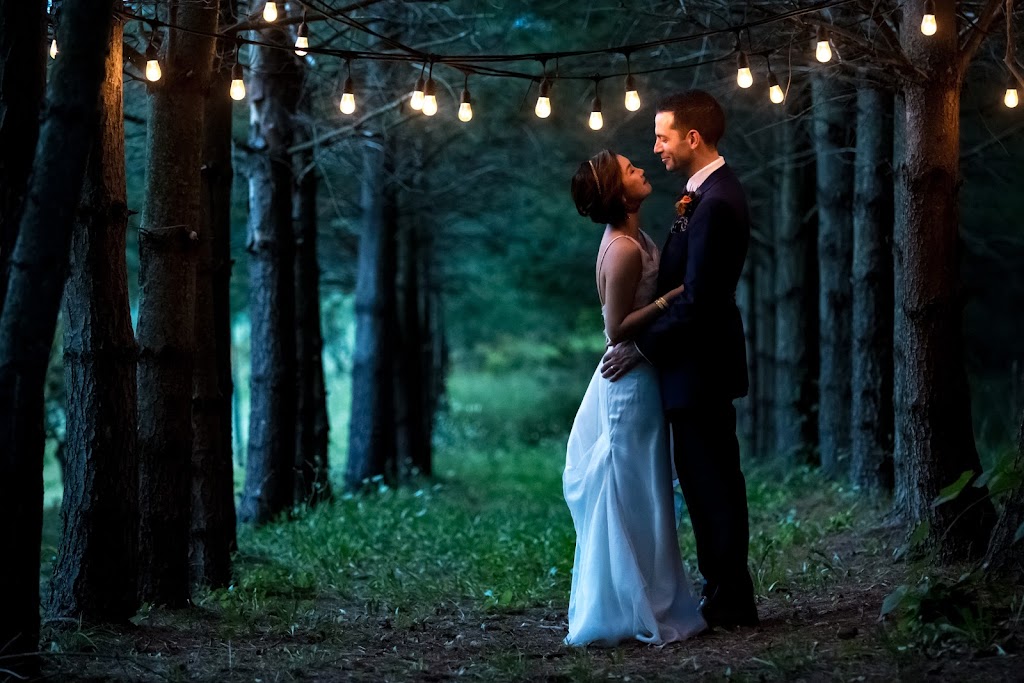 Open Sky Weddings | 171 Sharpecroft Blvd, North York, ON M3J 1P6, Canada | Phone: (647) 465-2850