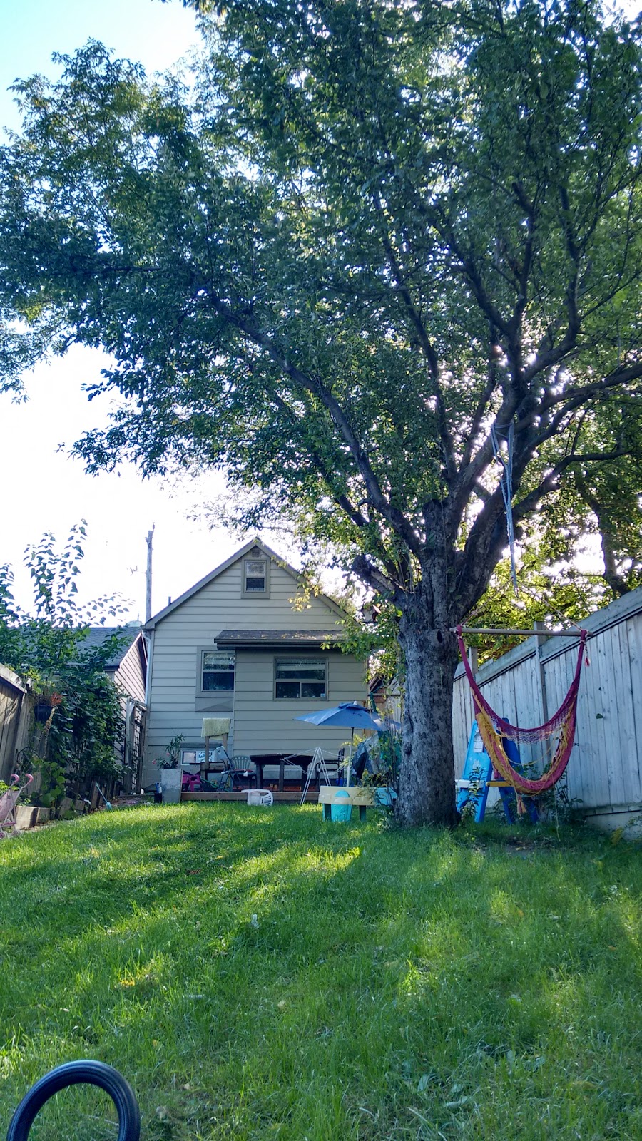 Second Home Child Care | 14 Avon Ave, York, ON M6N 3W7, Canada | Phone: (647) 853-4534