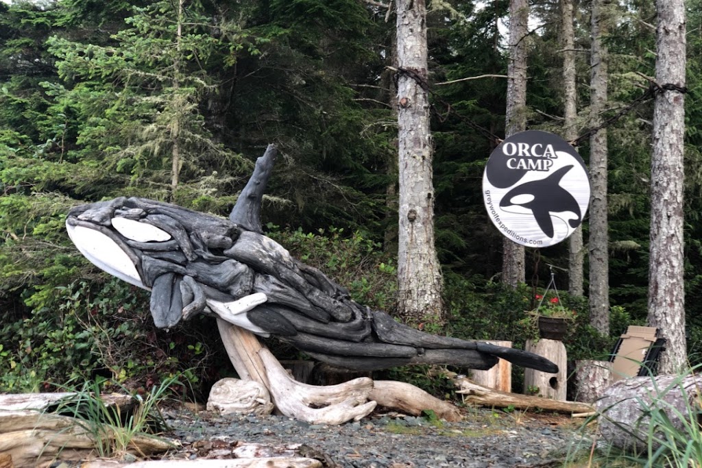 Kayak Tours Campbell River | 1811 Surgenor Rd, Black Creek, BC V9J 1G6, Canada | Phone: (250) 337-5717