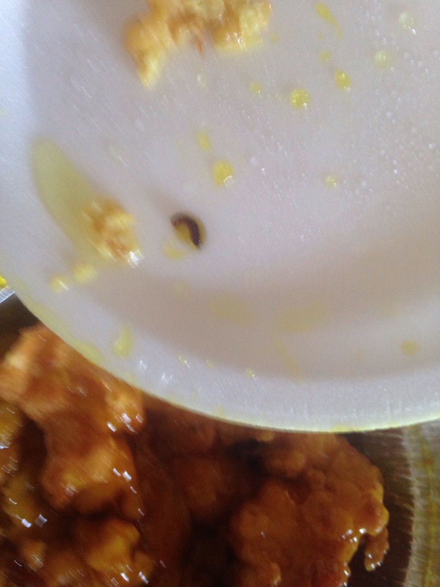 Canton Restaurant | 1407 London Rd, Sarnia, ON N7S 1P6, Canada | Phone: (519) 542-2484