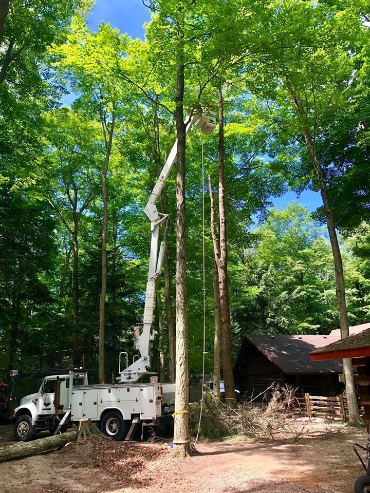 Nine Mile Tree Service | 84679 Kingsbridge Line RR3, Goderich, ON N7A 3X9, Canada | Phone: (519) 955-6869
