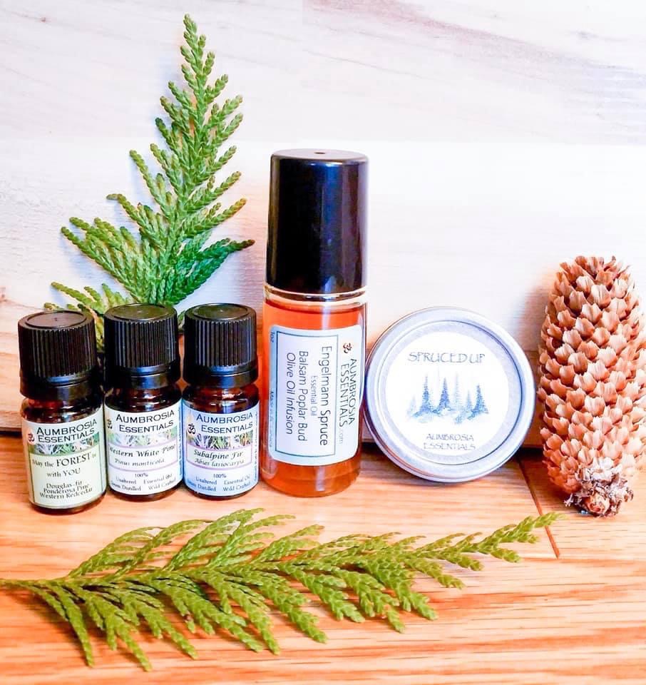 New West Trading Co 1985 | 278 Market Ave, Grand Forks, BC V0H 1H0, Canada | Phone: (250) 442-5342