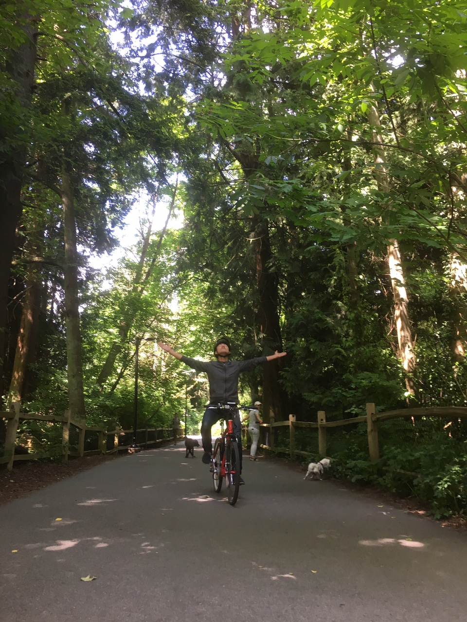 Bees Knees eBike & Ski Rentals | 1315 Burrard St, Vancouver, BC V6Z 1Z7, Canada | Phone: (604) 262-8852