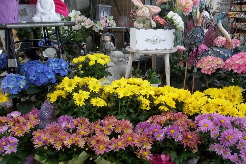 Hortibeauce | Centre Jardin BOTANIX | 333 Route Cameron, Sainte-Marie, QC G6E 3E2, Canada | Phone: (418) 387-7595