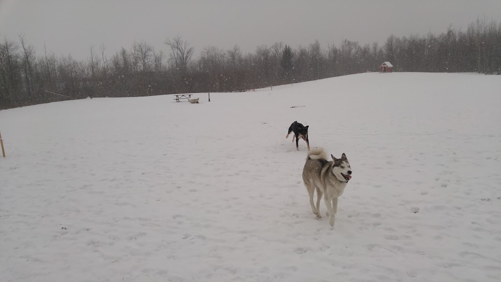 Fergus Dog Park | 840 Glengarry Crescent, Fergus, ON N1M 3W1, Canada