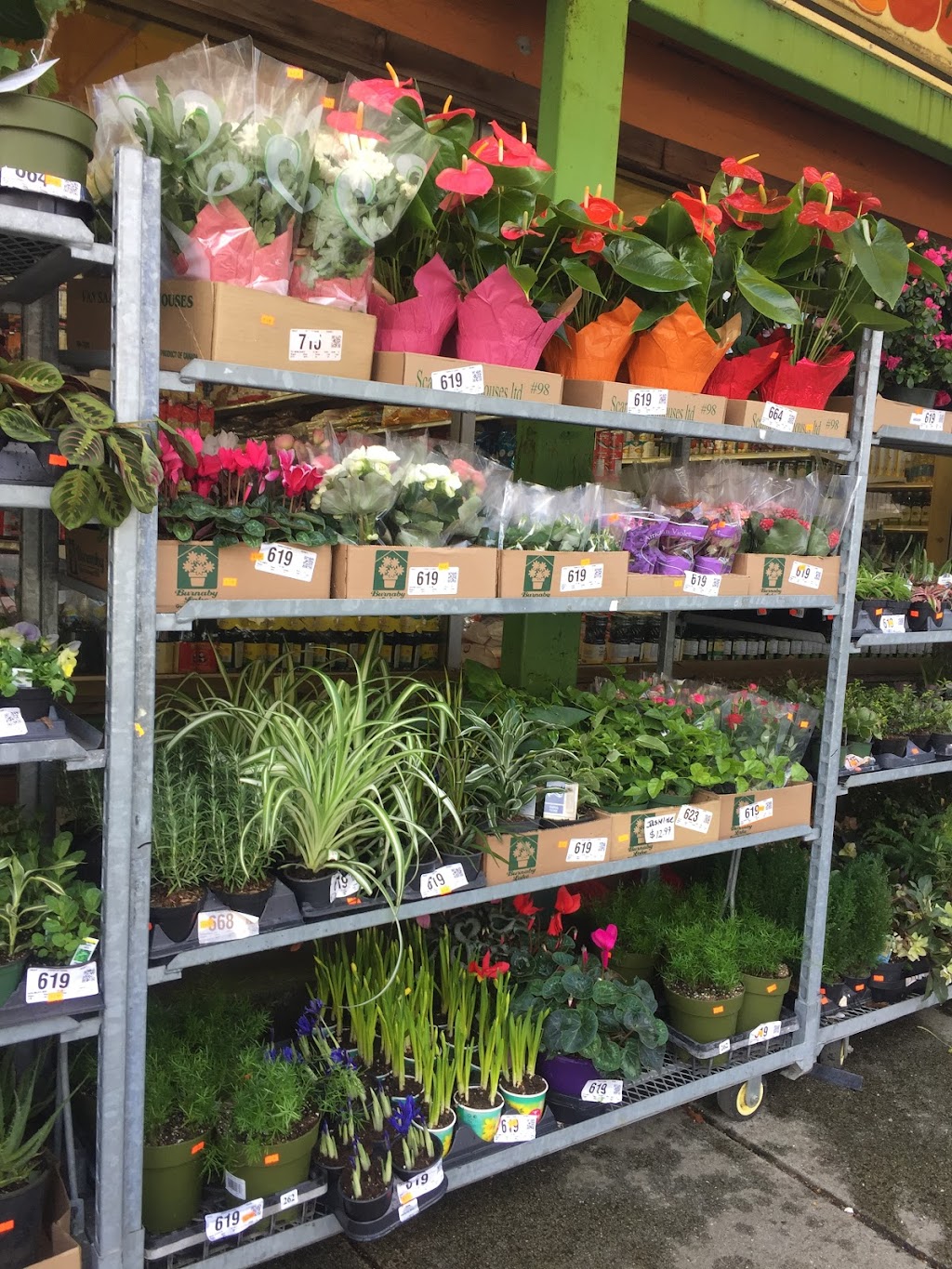 Triple A Fresh Produce | 4356 Hastings St, Burnaby, BC V5C 2J9, Canada | Phone: (604) 205-1773