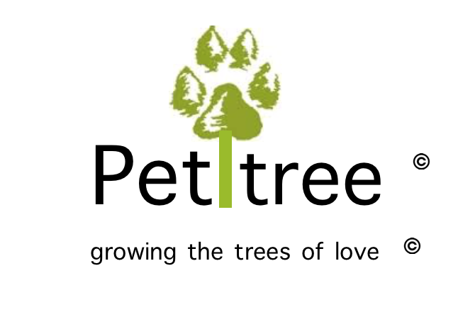 Petitree | 404 Palmerston Blvd Suite 3, Toronto, ON M6G 2N8, Canada | Phone: (416) 732-2186