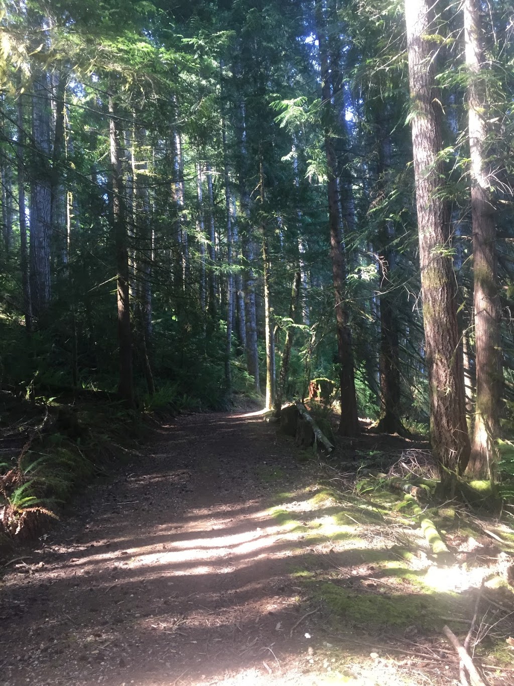 BC Forestry Research Station | 7060 Forestry Rd, Mesachie Lake, BC V0R 2N0, Canada | Phone: (250) 749-6811