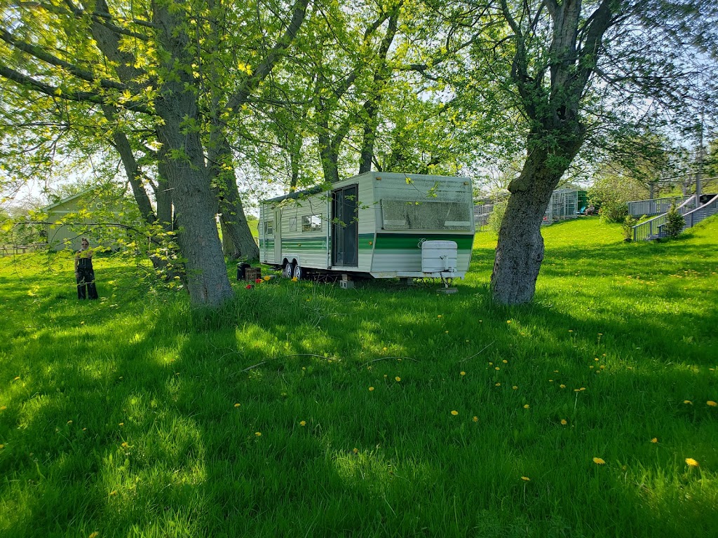 Story Book Farm Primate Sanctuary | 2315 Concession Rd 10, Sunderland, ON L0C 1H0, Canada | Phone: (416) 816-4800