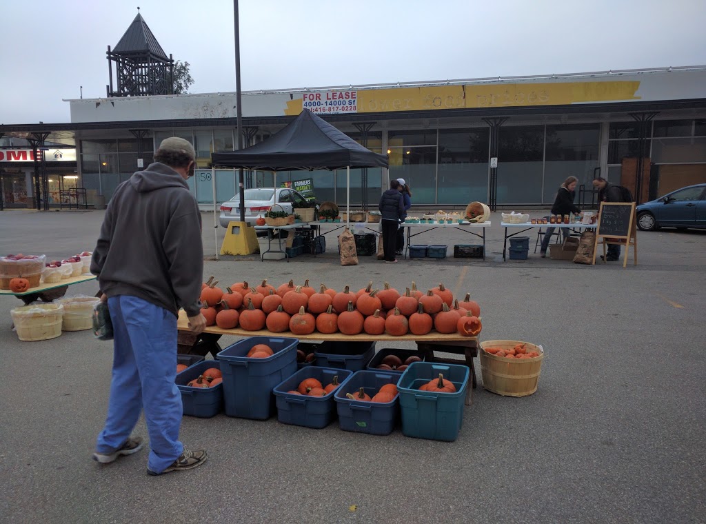 Thistletown Plaza | 988 Albion Rd, Etobicoke, ON M9V 1A7, Canada