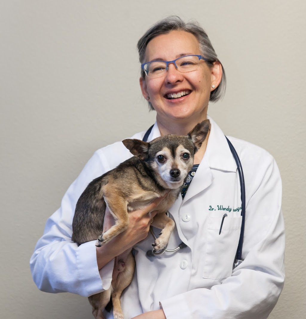 Fairhaven Veterinary Hospital | 2330 Old Fairhaven Pkwy, Bellingham, WA 98225, USA | Phone: (360) 671-3903