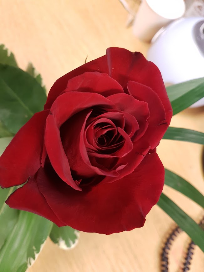 24hr Blooms n Roses - 24hr Classic Flowers | 2601 Matheson Blvd E #16, Mississauga, ON L4W 5A8, Canada | Phone: (905) 366-2306
