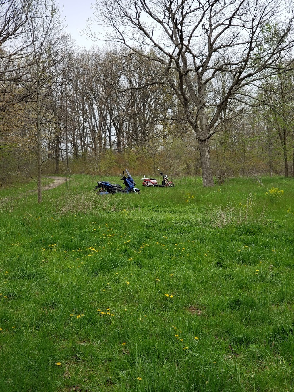 Grassy Brook | Grassy Brook Rd, Welland, ON, Canada