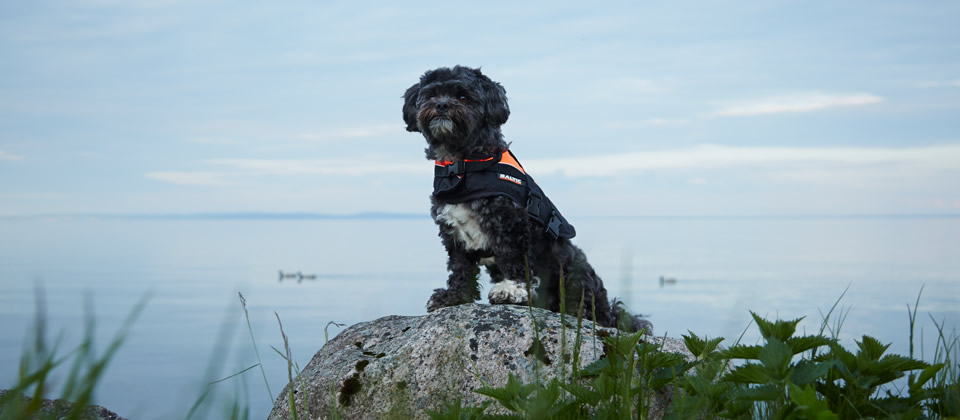Baltic Marine North America | 10 Nova Scotia Trunk 10, Cookville, NS B4V 7R1, Canada | Phone: (844) 687-7251