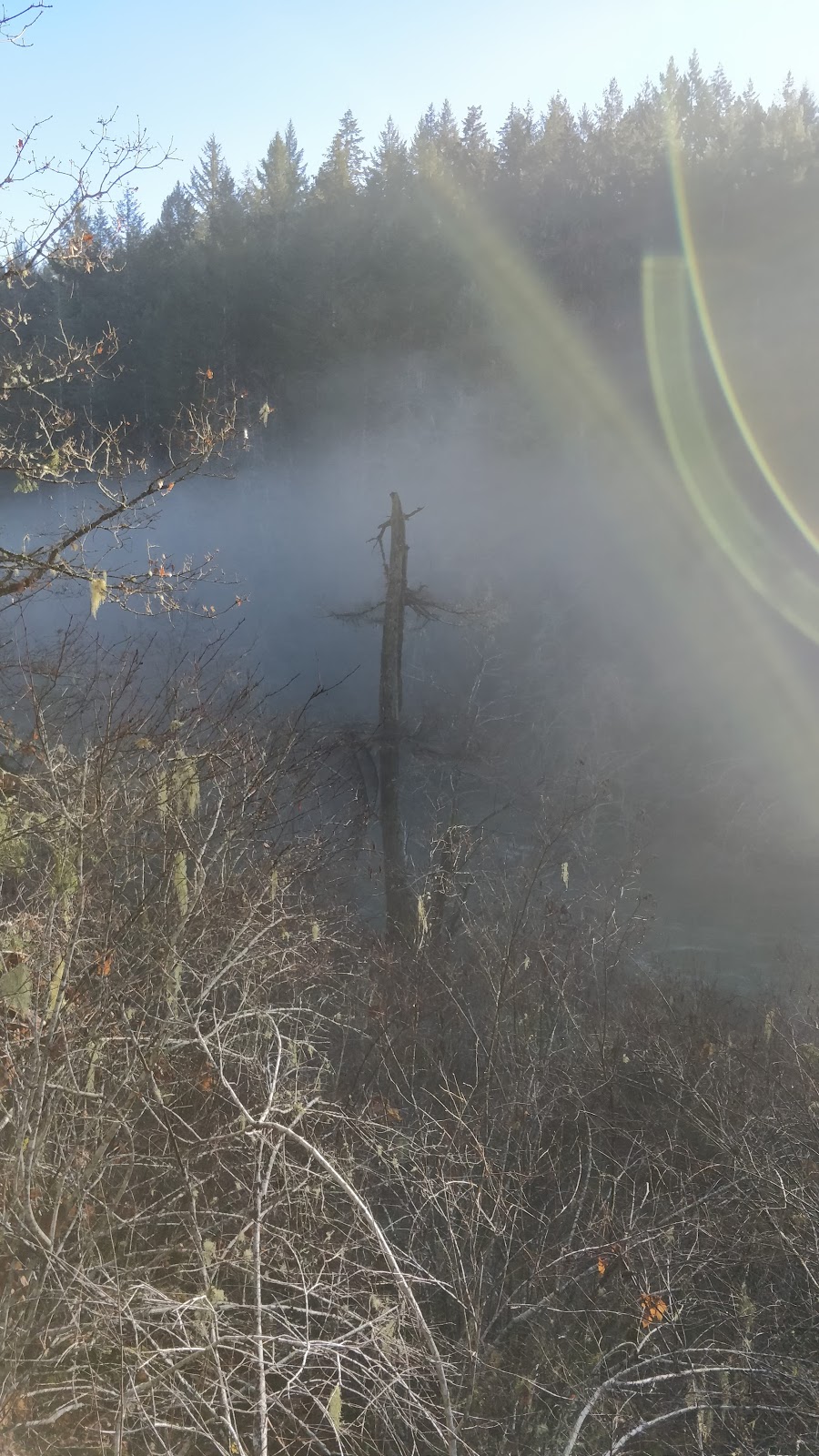 Glenora Riverside Park | Sunrise Rd, Duncan, BC V9L 6G6, Canada | Phone: (250) 746-2500