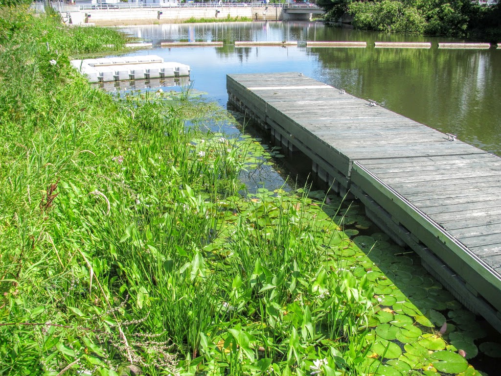 Parc du Barrage | 66 Rue Notre Dame, LÉpiphanie, QC J5X 1A1, Canada