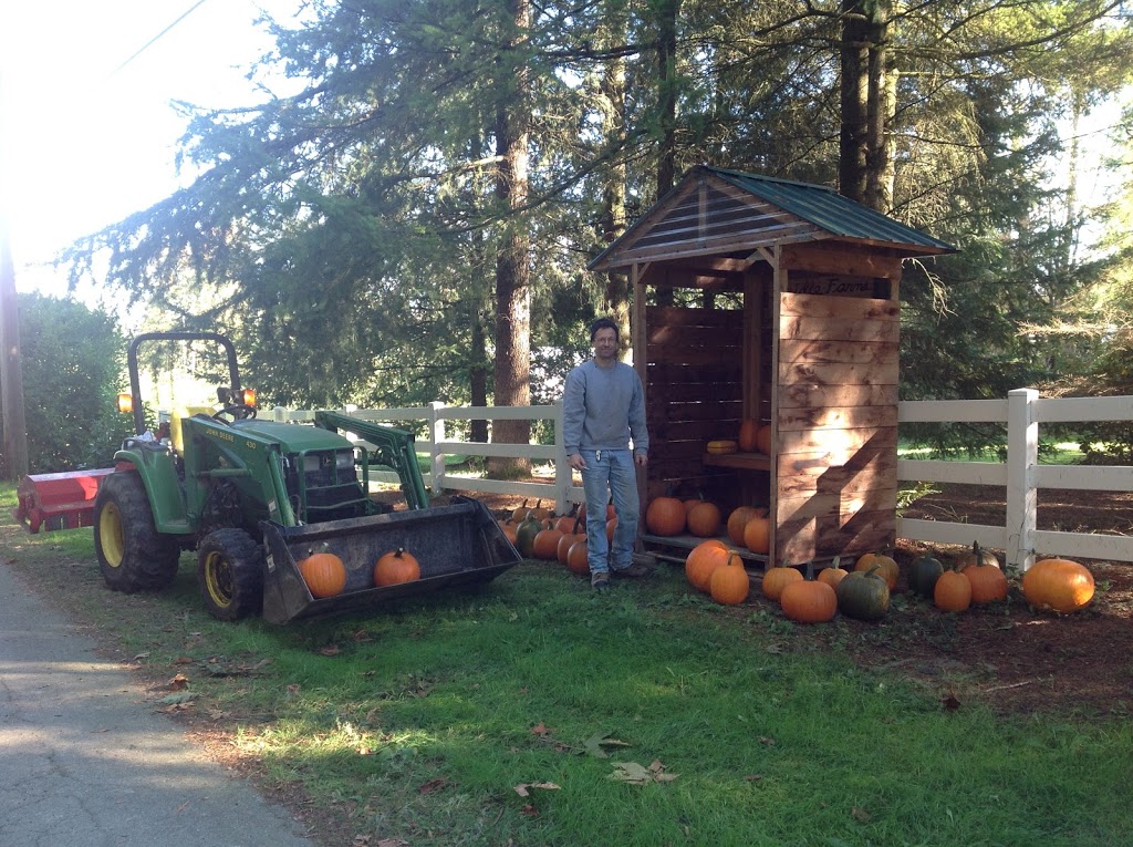 Steidle Farms | 30200 Burgess Ave, Abbotsford, BC V4X 1V5, Canada | Phone: (604) 607-6697