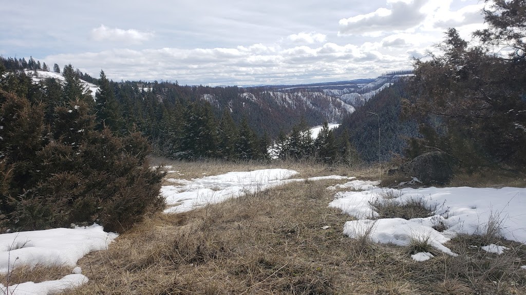 Vidette Lake Nature Retreat | Deadman Vidette Rd, Thompson-Nicola J, BC V0K 2K1, Canada | Phone: (778) 765-5407